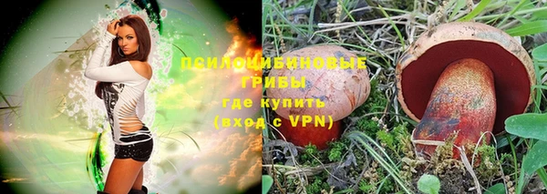 кокс Баксан