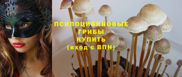 кокс Баксан