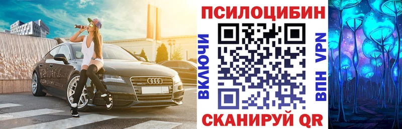 shop Telegram  Котельники  mega ссылки  Галлюциногенные грибы мицелий  где продают  